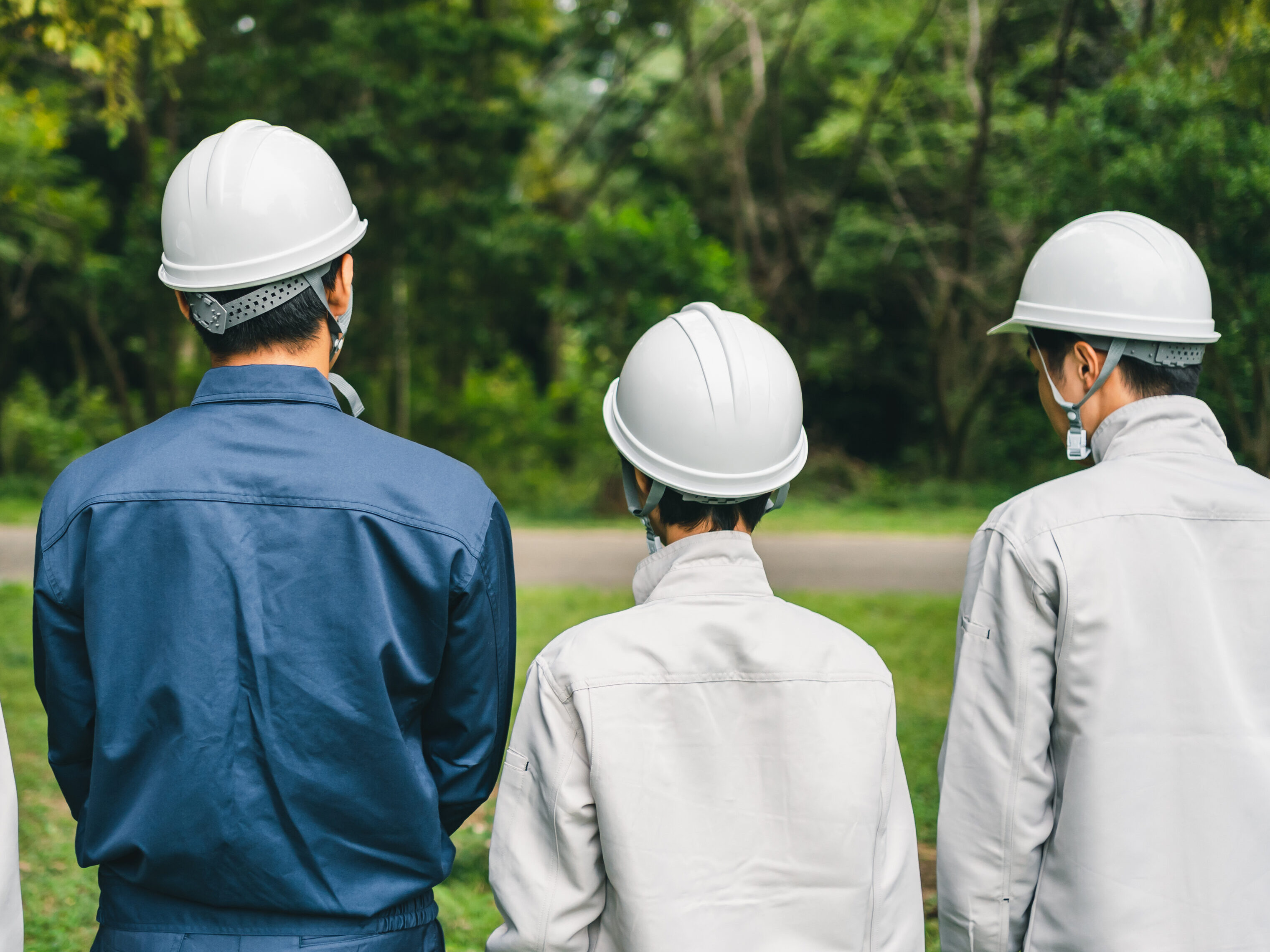 pixta_84001595_L-e1765262557507